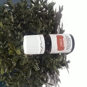 YL oil Ginger Vitality